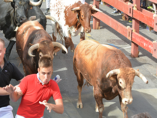 Imagen Encierro del 26 de agosto de 2017