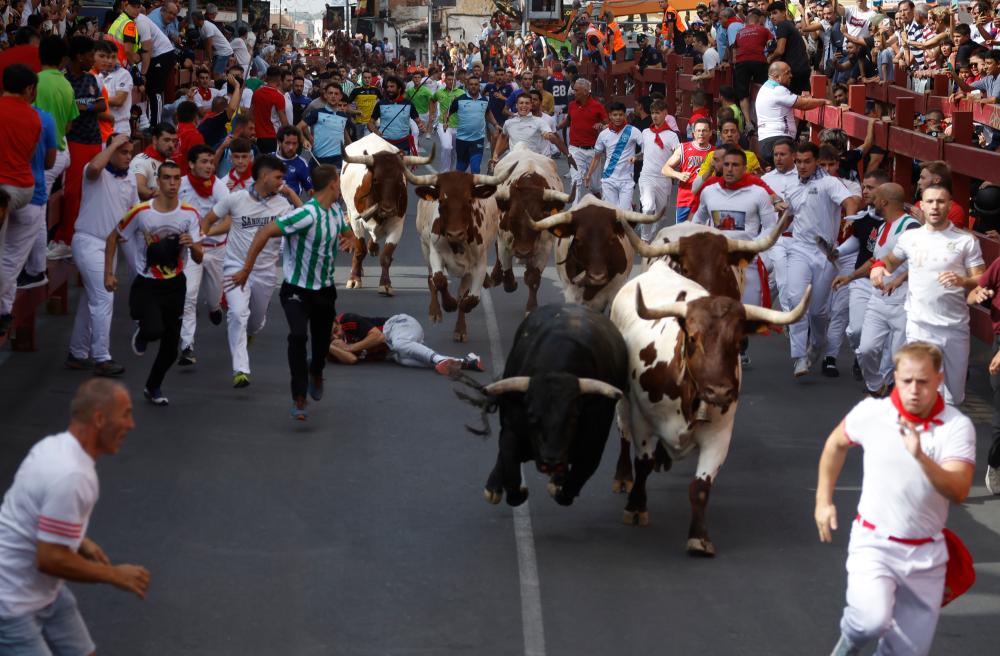 EFE- DFFEncierroSSReyesDia3 (18).jpg