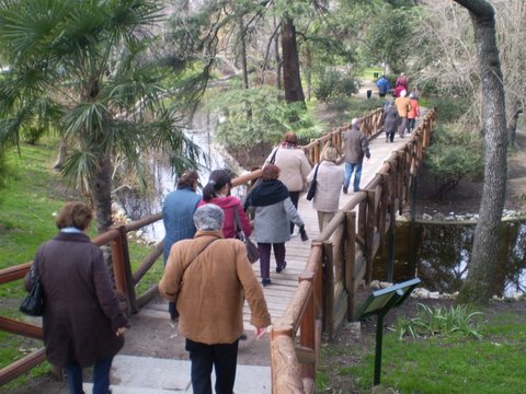 Varios mayores de Sanse caminan por el Parque del Retiro