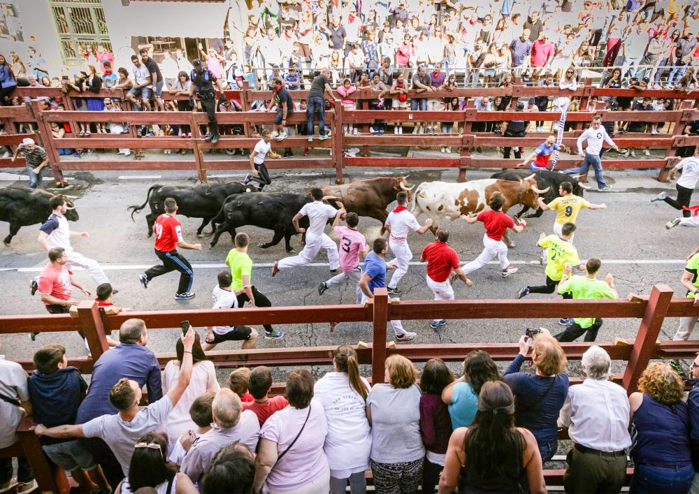 Segundo premio Concurso fotografía de El Encierro de Sanse