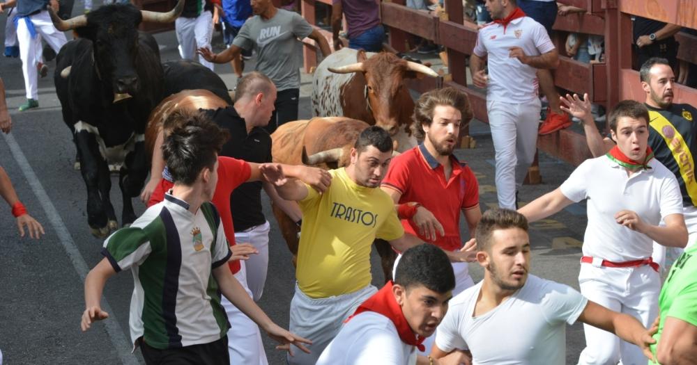 Imagen Sanse convoca su certamen literario sobre los encierros