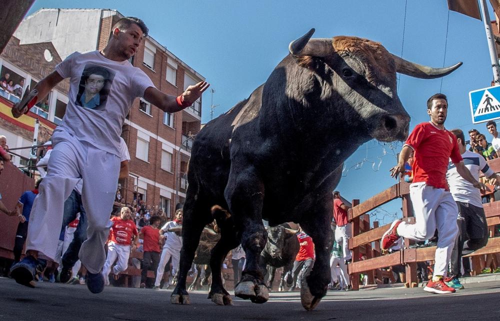 Imagen El Pleno municipal apoya la celebración de unas fiestas del Santísimo Cristo de los Remedios seguras