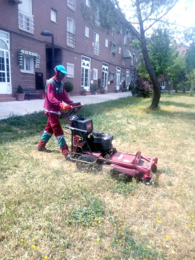 Imagen El Ayuntamiento desbroza más de 110 hectáreas para evitar riesgos de incendios en el municipio
