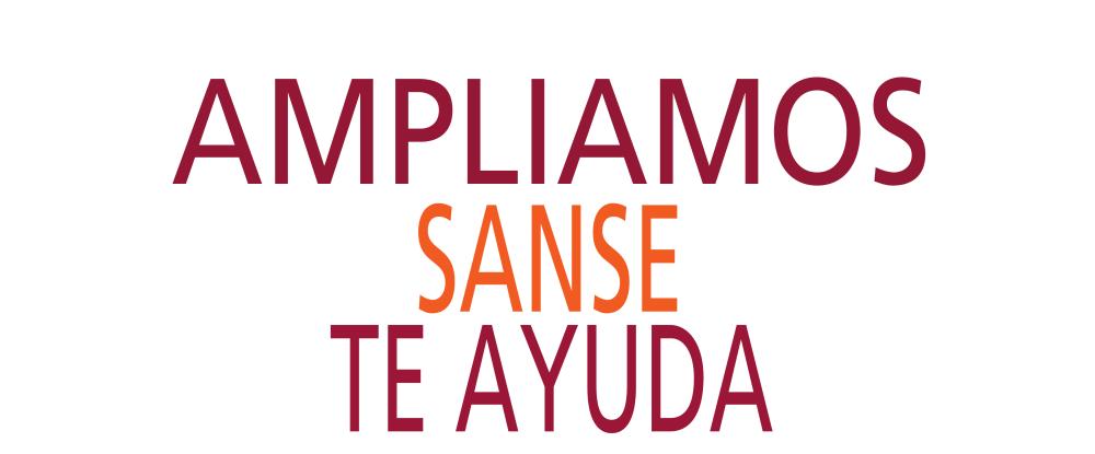 Imagen El Gobierno municipal refuerza la protección social con la constitución de una Dirección General