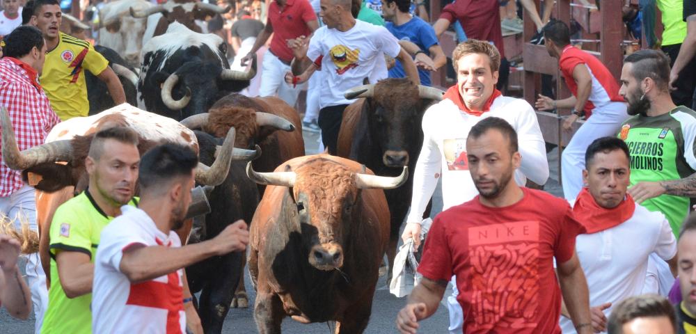 Imagen La Comunidad de Madrid prohíbe los siete Encierros de Sanse tras meses esperando una respuesta