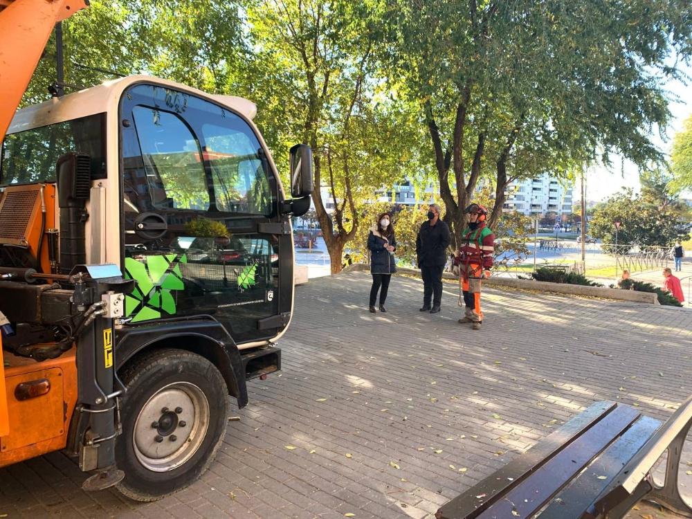 Imagen Sanse encara su campaña de poda y saneamiento sobre 4.500 árboles