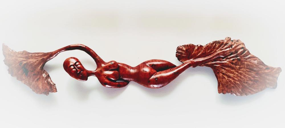 Esposición MAS MADERA