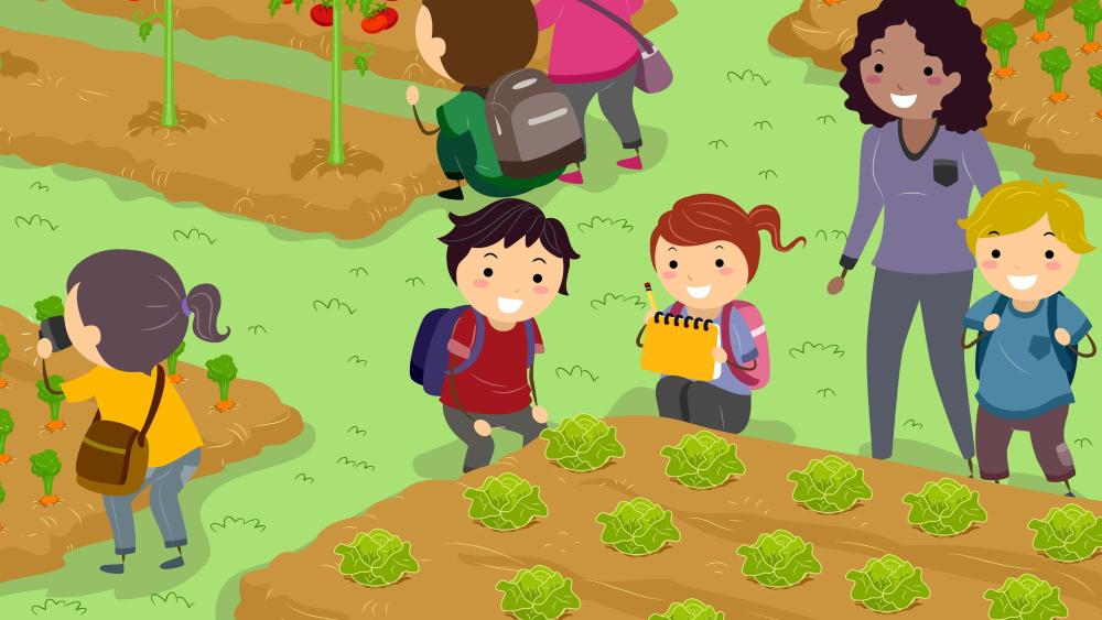 Imagen Se buscan jóvenes agricultores para los huertos ecológicos del Centro Joven