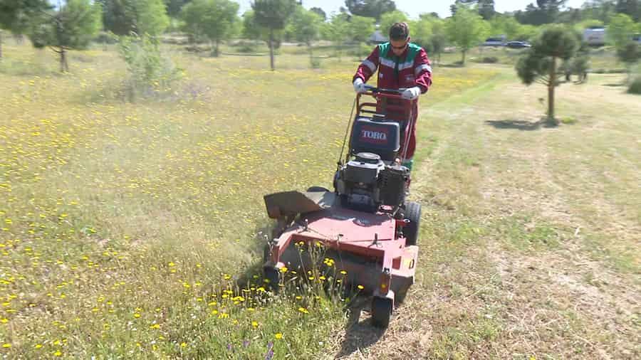 Imagen El Ayuntamiento desbroza 148 hectáreas municipales favoreciendo la biodiversidad y la prevención de incendios