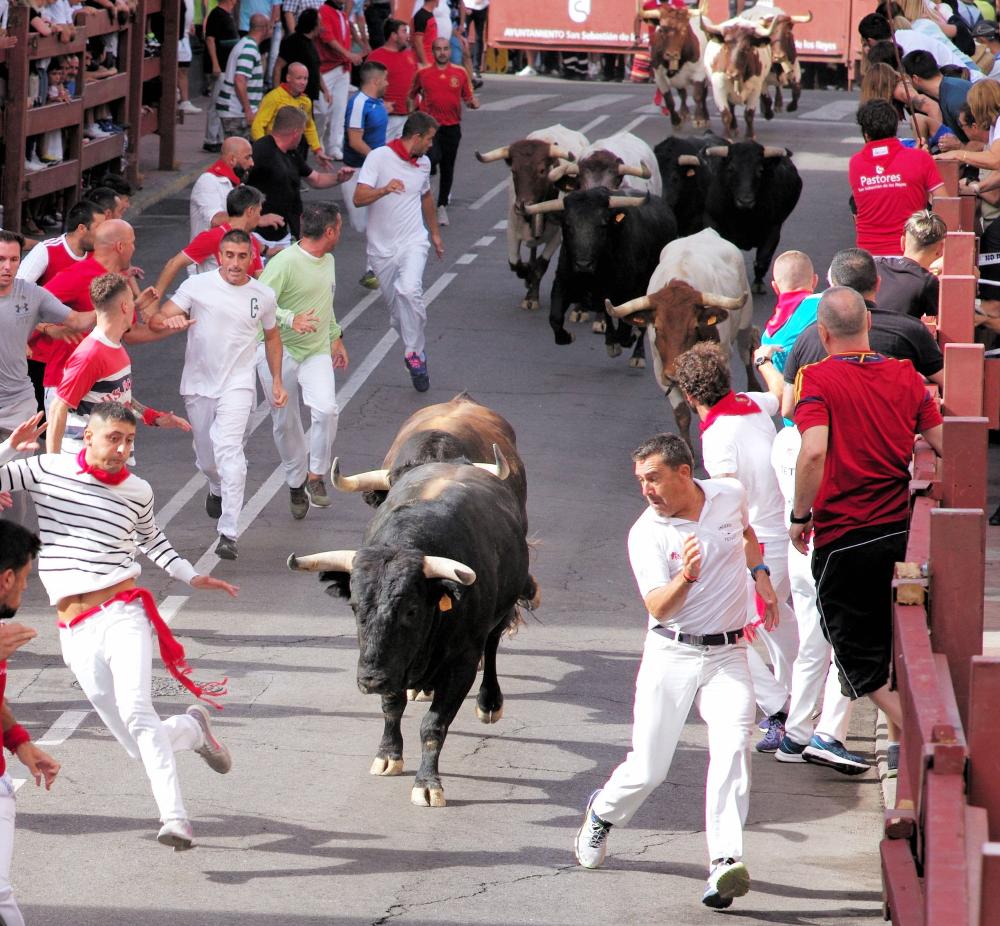 Imagen Los toros de La Cardenilla protagonizan emocionantes carreras en el tercer encierro de las fiestas