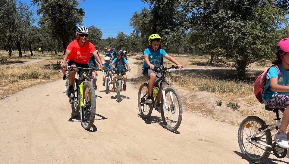 Imagen Balance positivo para los Campus Predeportivos de Verano 2022