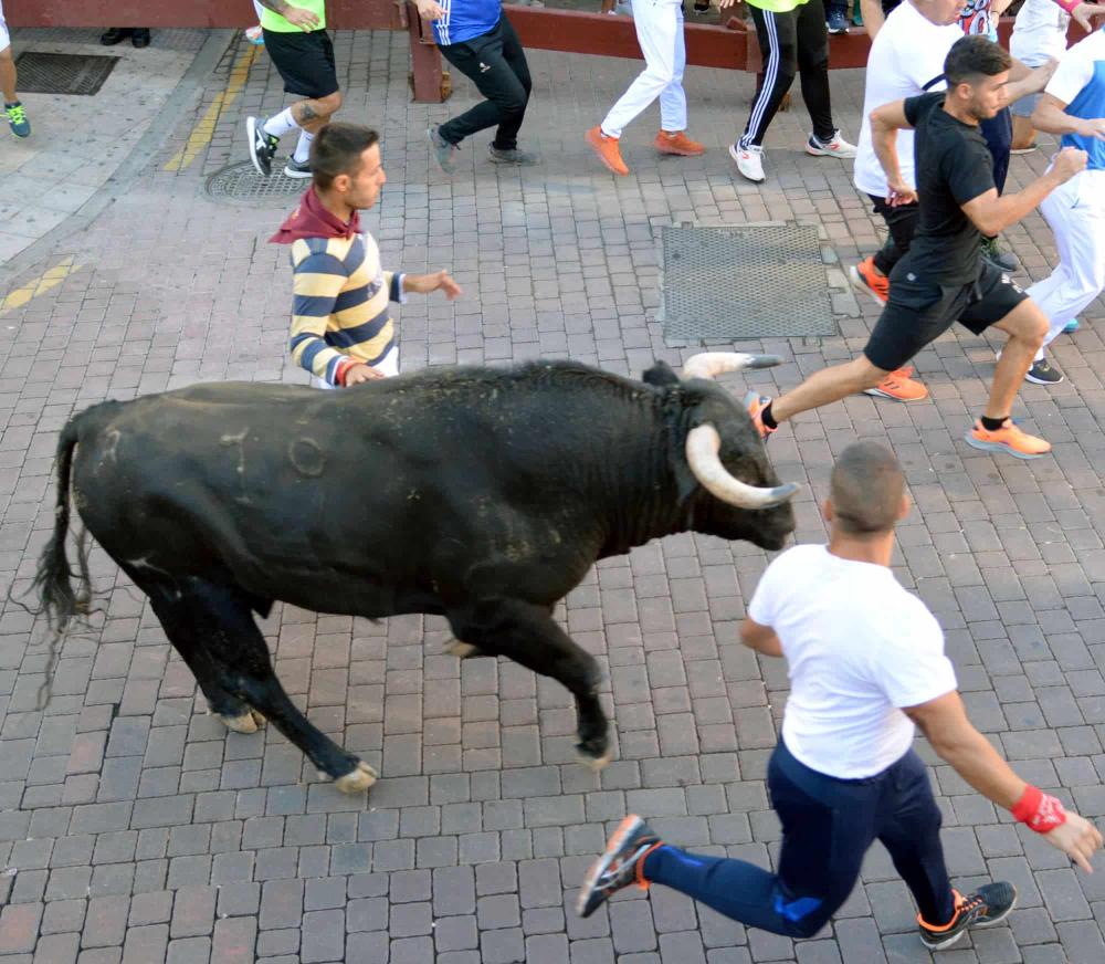 Los toros de Luis Terrón ofrecen un espectáculo de largas carreras, en el sexto encierro de las fiestas