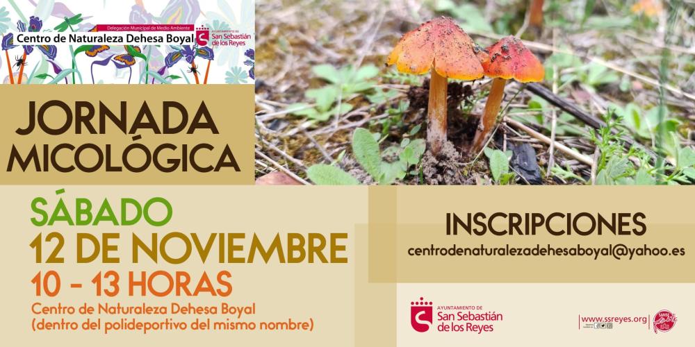 Imagen El Centro Municipal de Naturaleza organiza una sesión teórico-práctica sobre hongos y setas