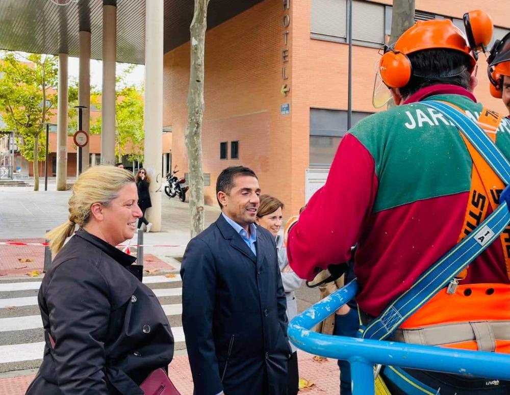 Imagen En marcha la campaña de poda para reducir riesgos en la vía pública