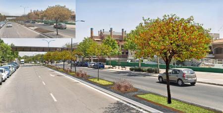 Imagen El Ayuntamiento aprueba los proyectos para adecuar las medianas del paseo de Europa y avenida de Pirineos