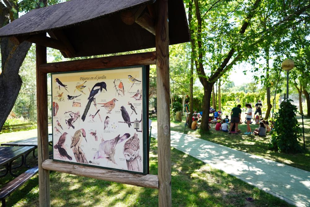 Imagen Se abre el periodo de preinscripción para los campamentos urbanos y actividades veraniegas de infancia