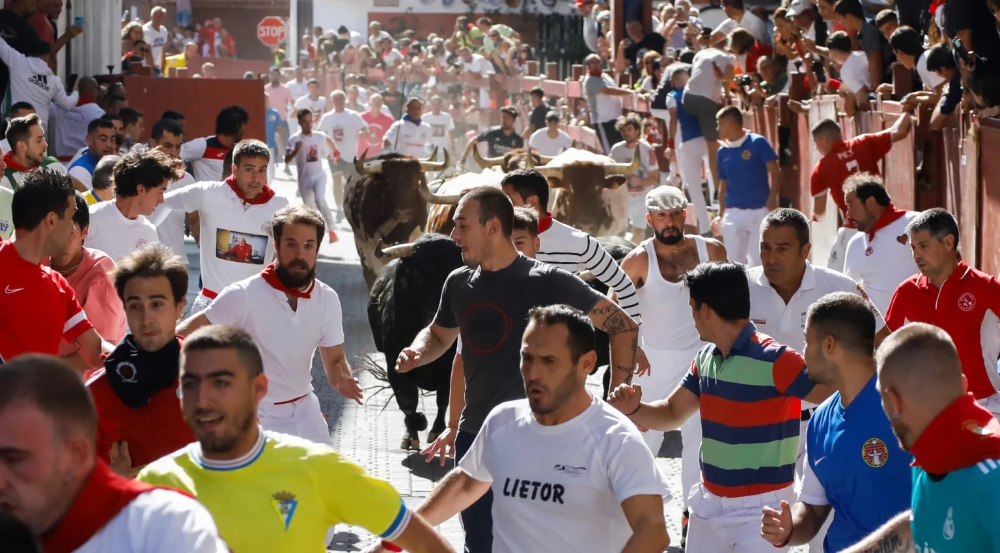 Imagen Un encierro rápido, con la manada disgregada y seis atenciones por contusiones