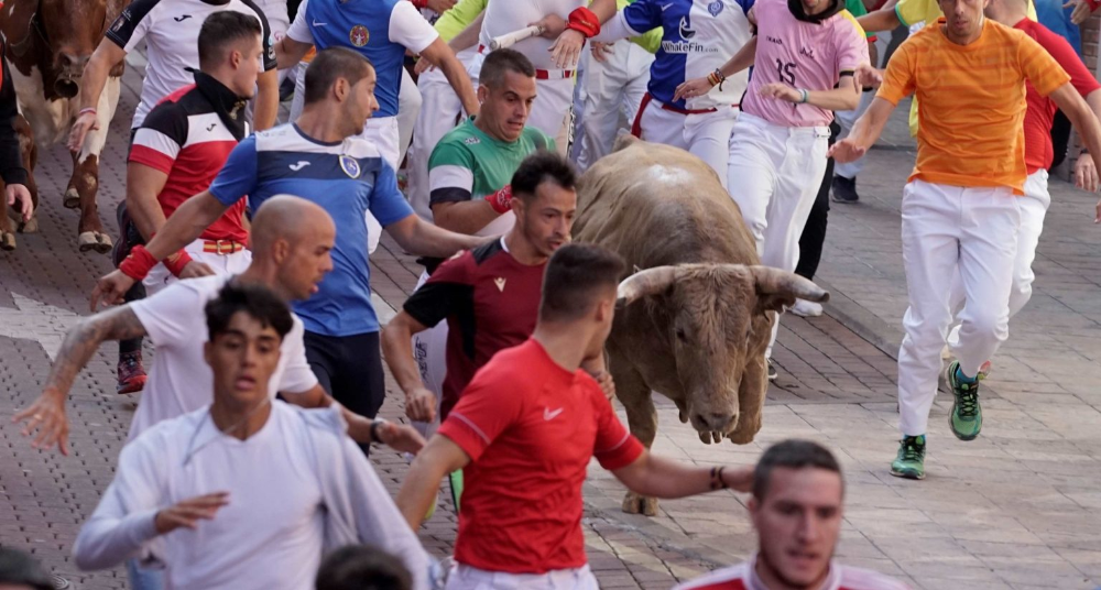 Imagen Espectaculares carreras y momentos de peligro, en el cuarto encierro de San Sebastián de los Reyes