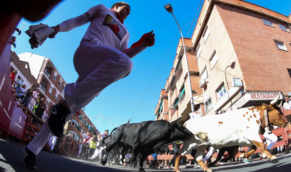 Imagen Grandes carreras en un quinto encierro vistoso y emocionante, con toros para rejones