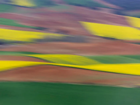 Exposición: Autores XXXII