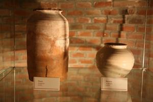 Imagen 124011231_142009103845.jpg