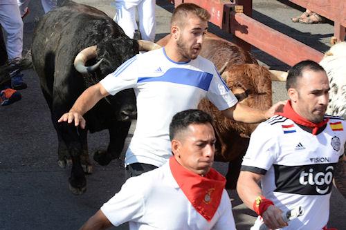 Imagen Participaron alrededor de 1.700 corredores.