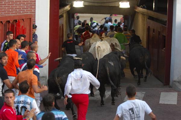 Imagen Foto encierro 31 de agosto de 2009