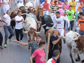 Imagen Encierro 30 de agosto de 2019