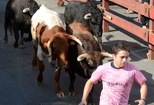 Imagen El recorrido se ha cubierto en un minuto y 50 segundos.