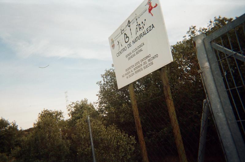 Imagen Juan de Mairena - Alberto Ayora