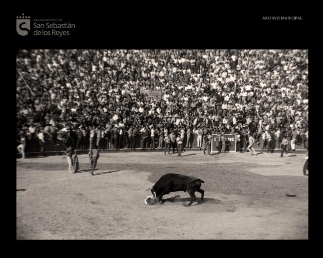 Imagen Domingo trágico de La Tercera