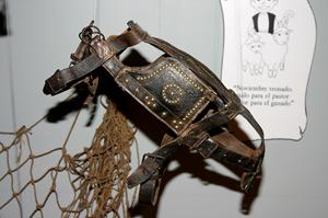 Imagen 753273643_142009112534.jpg