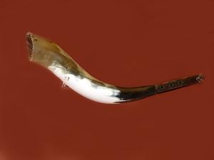 Imagen 991335448_14200911934.jpg