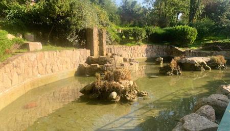 Imagen La limpieza del estanque del parque Gabriel Celaya mejora la salubridad del agua donde viven peces y tortugas