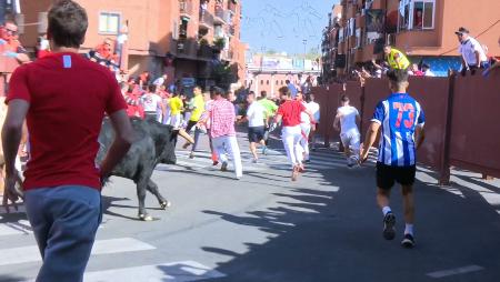 Imagen Siete caídas en Real y dos bueyes rezagados en el segundo encierro de...