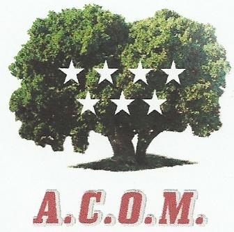 Imagen Asociación para la Cultura y el Ocio de la Comunidad de Madrid (ACOM)