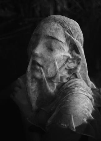 Exposición: XL Salón nacional de fotografía 'El lobo y el madroño'