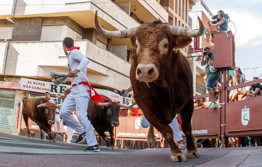 Imagen Un toro regresa a corrales al inicio del tercer encierro de las fiestas