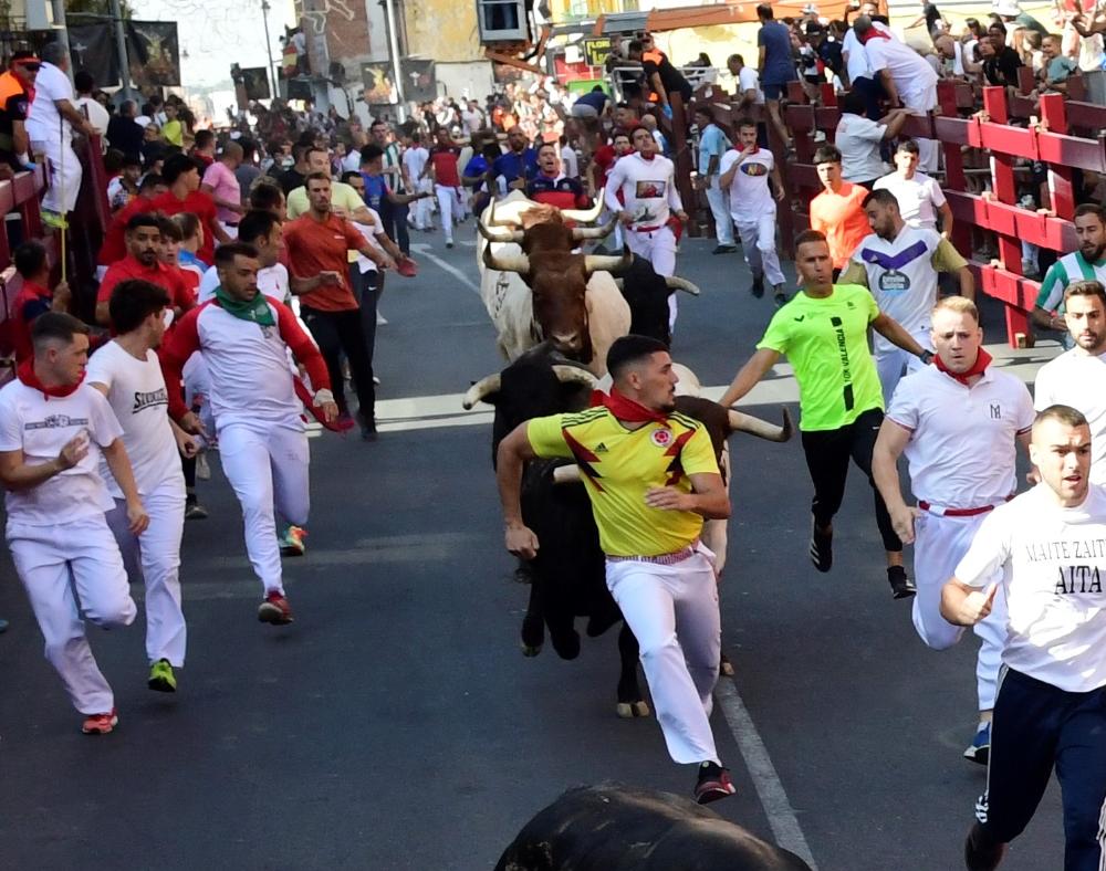 Imagen Rapidísimo y limpio cuarto encierro con novillos de la ganadería de Núñez de Tarifa