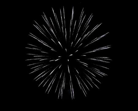 Imagen Avance de las Fiestas 2010