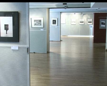 Imagen El lobo y el madroño