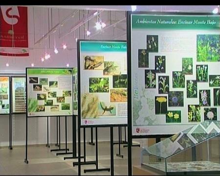 Imagen Jornada de puertas abiertas en el Centro de Naturaleza Dehesa Boyal