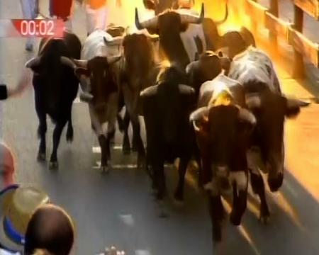 Imagen Encierro del 29 de agosto de 2010