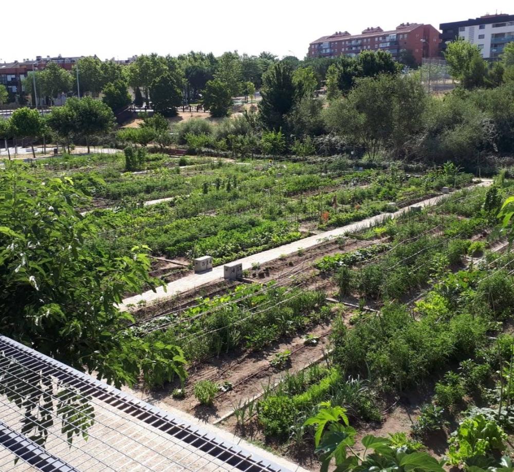 Imagen Huertos urbanos municipales