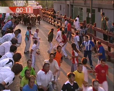 Imagen Encierro del 29 de Agosto de 2009