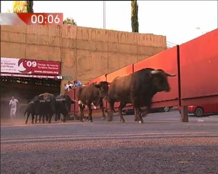 Imagen Encierro del 30 de Agosto de 2009