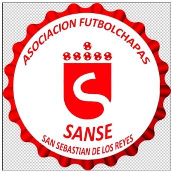 V CAMPEONATO SANSE SUMMER CUP.