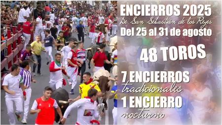 Imagen Ganaderías, toros y corredores: un adelanto de los encierros de San...