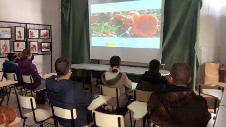 Imagen Celebrando la temporada de setas con la primera jornada micológica de Sanse
