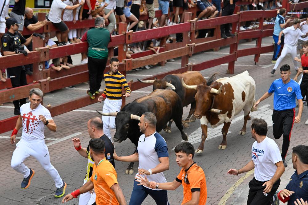 Imagen TC_25_8_1.jpg